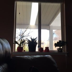 Meet your Posher, Mia